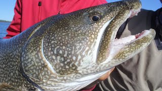 Lake Trout Jigging Techniques That Guides Dont Want You to Know [upl. by Ylro]