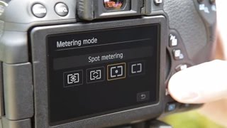 Understanding Metering Modes  How to Use Your Camera Part 5 [upl. by Notneuq]