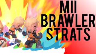 The Truth About Mii Brawler [upl. by Godliman7]