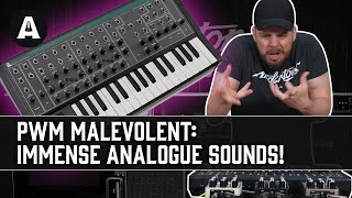 PWM Malevolent  Intense Sounds From a New Affordable Analogue Synth [upl. by Akiemehs]