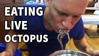 Eating Live Octopus in Korea [upl. by Alvar]