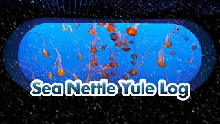 Sea Nettle Yule Log  2 Hours Of Jellyfish  Fireplace Sounds  4K Littoral Relaxocean [upl. by Lareneg796]