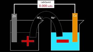 How the salt bridge works [upl. by Atined]