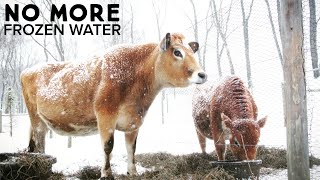 The Amazing ELECTRIC FREE FROST PROOF Automatic Livestock Waterer [upl. by Fanchon465]