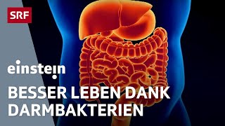 Mikrobiom – wie die Bakterien im Darm über unsere Gesundheit entscheiden  Einstein  SRF Wissen [upl. by Ruhtua351]