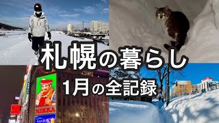 1月の札幌の暮らしを紹介します [upl. by Nylyaj680]