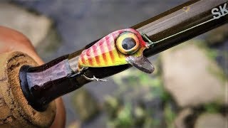 Smallest CrankBait Ever  One Day Build to Catch [upl. by Eimoan486]