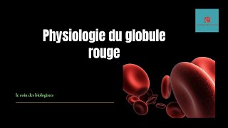 métabolisme du globule rouge [upl. by Herzberg]