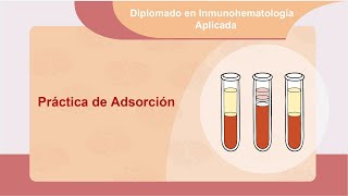 Práctica de Adsorción [upl. by Edivad]