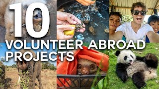 10 LIFE CHANGING VOLUNTEER ABROAD EXPERIENCES [upl. by Maryellen254]