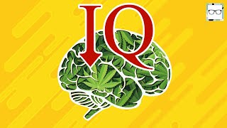 How Marijuana Affects The Developing Teenage Brain [upl. by Oloap641]