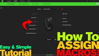 How to Assign MACRO to Razer Mouse  2019 [upl. by Dido]