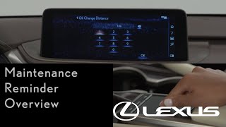 HowTo Set a Maintenance Reminder  Overview  Lexus RX [upl. by Novello169]