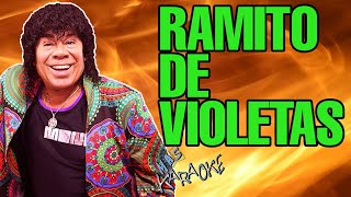 😎 RAMITO DE VIOLETAS 🟢 La Mona Jiménez 🎤 MAS KARAOKE cuarteto [upl. by Belldame155]