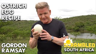 Gordon Ramsay Makes OSTRICH Scrambled Eggs In South Africa  Scrambled [upl. by Znarf]