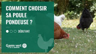 TUTO Comment choisir sa poule pondeuse   Jardinerie Gamm vert [upl. by Ettenim]