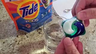 TIDE PODS EXPERIMENT 🧪🧫 [upl. by Anyala]