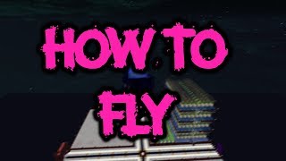 HOW TO FLY ON YOUR ISLAND  HYPIXEL SKYBLOCK [upl. by Wehhtam]