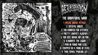 Deterioration  The Unnatural Mind FULL ALBUM 2019  Grindcore [upl. by Anatlus]