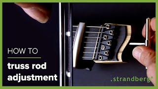 Truss Rod Adjustment [upl. by Anson]