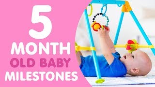 5 Month Old Baby Milestones [upl. by France]