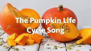 The Pumpkin Life Cycle Song [upl. by Barraza]