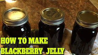 BLACKBERRY JELLY  STEP BY STEP  EASY…DELICIOUS RECIPE [upl. by Takken]