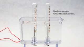 electrolysis of water [upl. by Cordell]