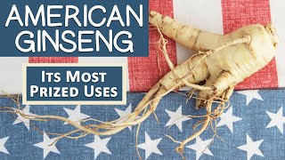 What is American Ginseng Most Prized Uses  How Its Different Than Asian [upl. by Haimes]