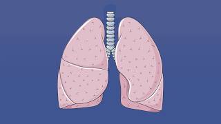 DIFUSION DE GASES O2 Y CO2  FISIOLOGIA [upl. by Watt]