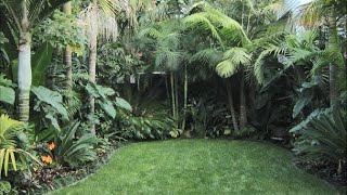 Small Tropical Gardens around the Globe [upl. by Upton]