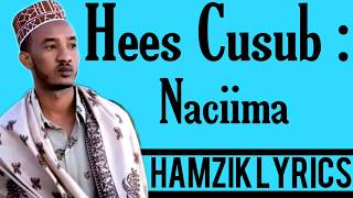 XARIIR AXMED HEES CUSUB NACIIMA OFFICIAL VIDEO HD LYRICS 2020 [upl. by Nolyak]