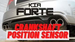 How To Replace Crankshaft Position Sensor CKP Kia Forte 2012 [upl. by Eaned806]