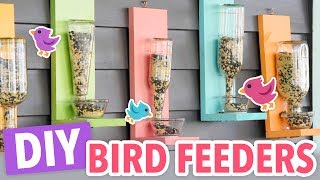 DIY Bird Feeders [upl. by Clercq]