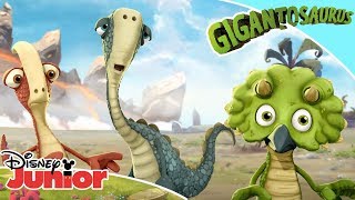 The Dinosaurs Explore 🦕 Gigantosaurus  Disney Channel Africa [upl. by Nodyarg628]