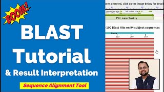 What is BLAST  Tutorial amp Interpretation [upl. by Ariamoy]