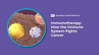 Immunotherapy How the Immune System Fights Cancer [upl. by Markland]