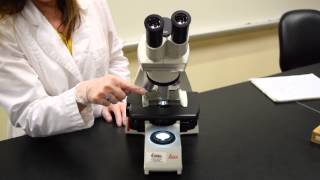 Parts of the Microscope  MCCC Microbiology [upl. by Oicneserc]