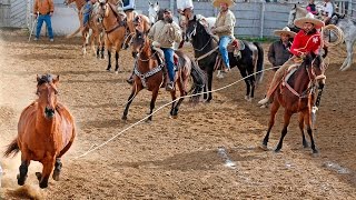 Charros in Texas thrive on tradition family competition [upl. by Warder760]