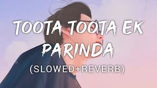 Toota Toota Ek Parinda  Kailash kher  Music Lyrics [upl. by Leahplar]