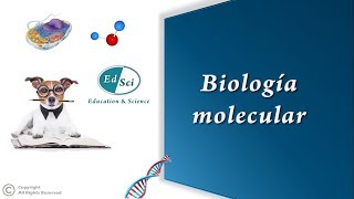 🟠 Biología molecular 🔝✅ [upl. by Serafine378]