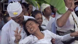 Barong Dance in Bali Scary  real trance and animal behaviour [upl. by Solange222]