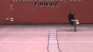 101 Best Agility Ladder Drills3 [upl. by Stafani951]