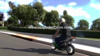 Pocket Bike Mini Bikes Pocketbikes  X19 110cc Superbike [upl. by Gentry157]