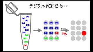 1minでわかる『デジタルPCR』 [upl. by Sommer]