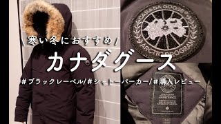 【カナダグース】シャトーパーカーブラックレーベル購入レビュー [upl. by Otreblanauj]