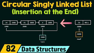 Circular Singly Linked List Insertion at the End [upl. by Uahc]