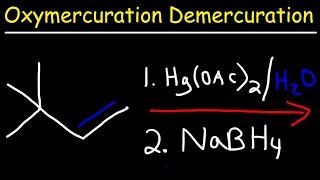 Oxymercuration Demercuration Reaction Mechanism [upl. by Nonnaihr273]