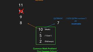 Coagulation Cascade  USMLE [upl. by Assirrem256]