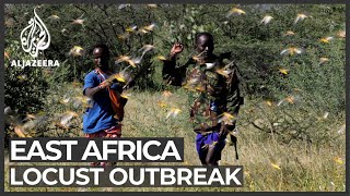 Locust swarms threatens East Africas crops [upl. by Irabaj556]